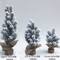 8.5", 12.5", & 17.5" Unlit Flocked Pine Artificial Christmas Trees with Burlap Base Set